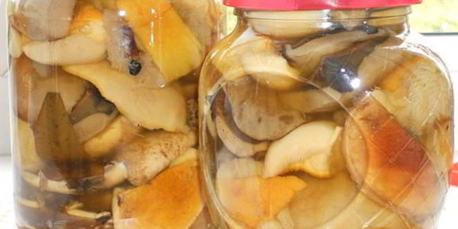 Рецепт грибов маринованных