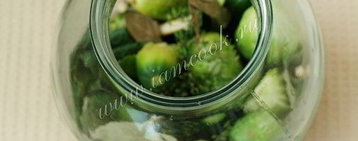 Шаг 3: классических маринованных огурцов на зиму