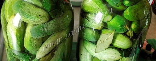 Шаг 5: классических маринованных огурцов на зиму