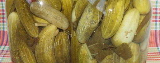 Шаг 7: классических маринованных огурцов на зиму