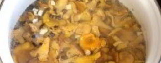 Шаг 2: лисичек маринованных соленых