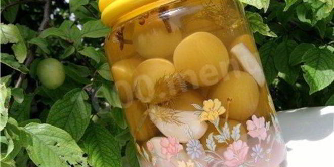 Рецепт маринованной алычи
