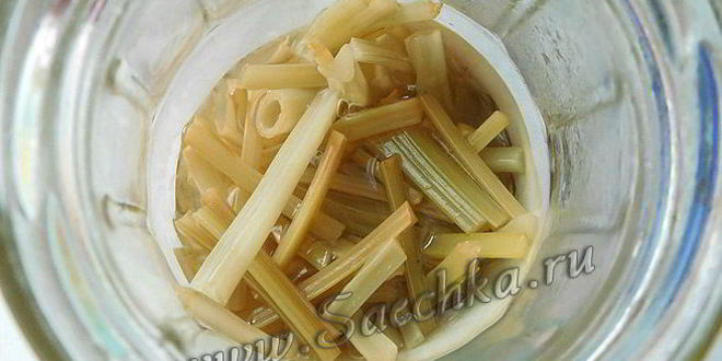 Рецепт маринованной сныти