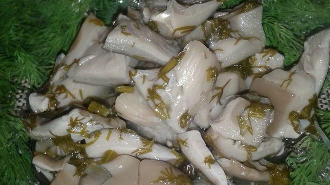 Рецепт Маринованных грибочков по-домашнему