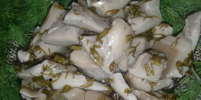 Рецепт маринованных грибочков по-домашнему