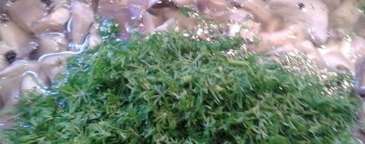 Шаг 1: маринованных грибочков по-домашнему