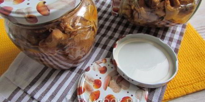 Рецепт маринованных лисичек на зиму