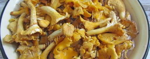 Шаг 2: маринованных лисичек на зиму