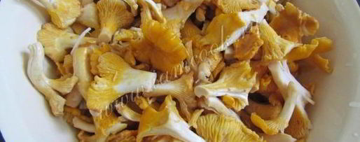 Шаг 3: маринованных лисичек на зиму