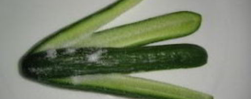 Шаг 2: маринованных огурцов с укропом