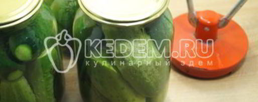 Шаг 10: маринованных огурцов в литровых банках