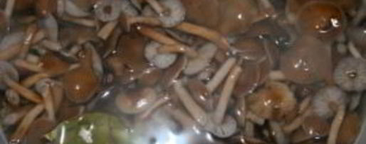 Шаг 1: маринованных опят с корицей