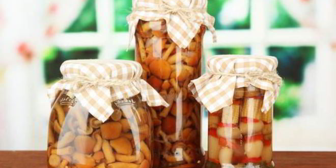 Рецепт маринованных опят