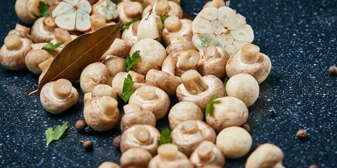 Рецепт маринованных шампиньонов