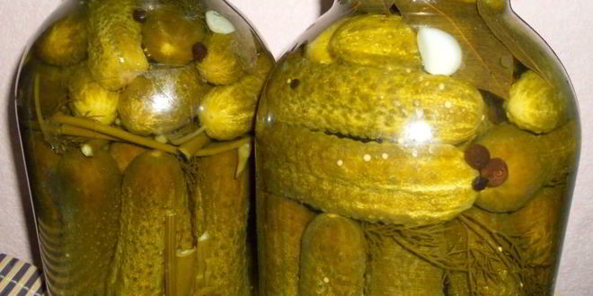 Рецепт маринованных соленых огурцов