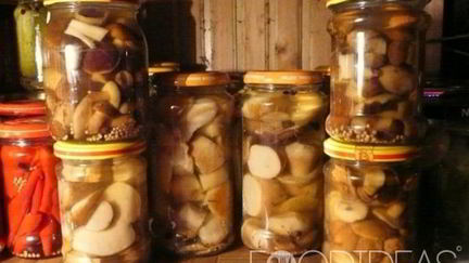 Рецепт Маринованных сыроежек