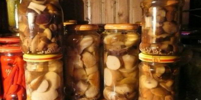 Рецепт маринованных сыроежек