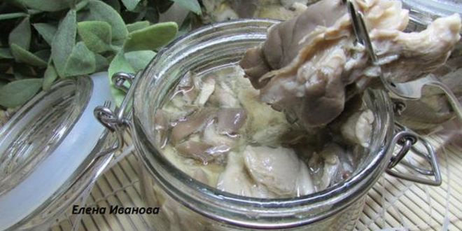 Рецепт маринованных вешенок