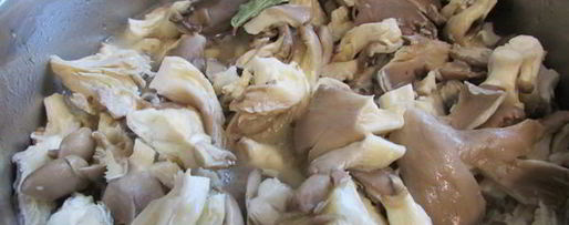 Шаг 3: маринованных вешенок