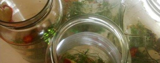 Шаг 2: огурцов маринованных на зиму