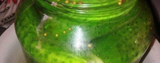 Шаг 4: огурцов маринованных на зиму