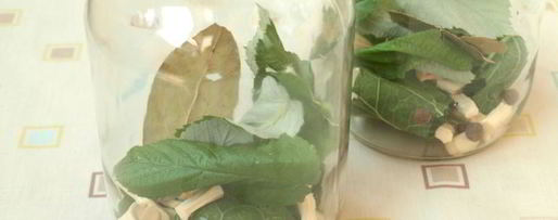 Шаг 1: огурцов маринованных с болгарским перцем