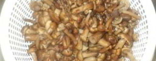 Шаг 2: опят маринованных
