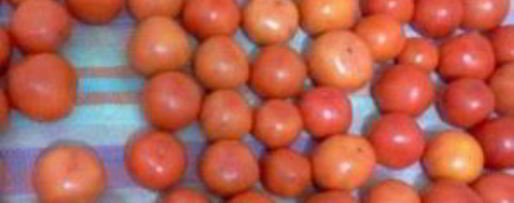 Шаг 1: помидоров маринованных сладких