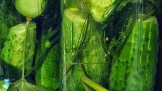 Рецепт Огурцов горячим способом на зиму