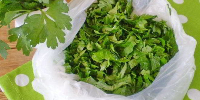 Рецепт петрушки на зиму