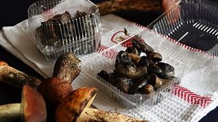 Рецепт Подосиновиков на зиму