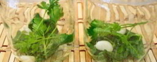 Шаг 4: помидоров черри на зиму