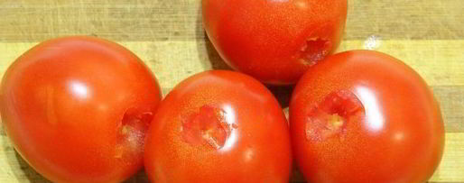 Шаг 4: помидоров, квашенных с чесноком и зеленью