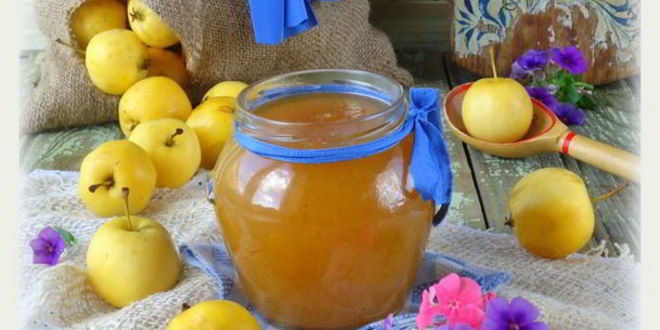 Рецепт домашнего яблочного повидла