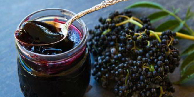 Рецепт повидла из бузины