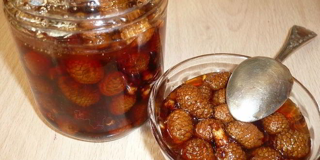 Рецепт повидла из шишек