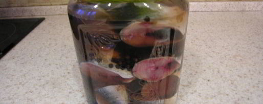 Шаг 4: домашней малосольной сельди