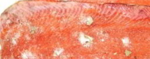 Шаг 5: горбуши слабосоленой