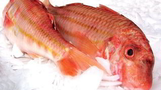 Рецепт Кефали соленой