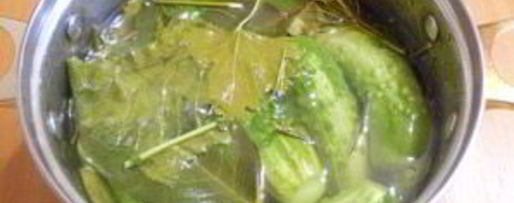 Шаг 4: малосольных огурчиков в кастрюле