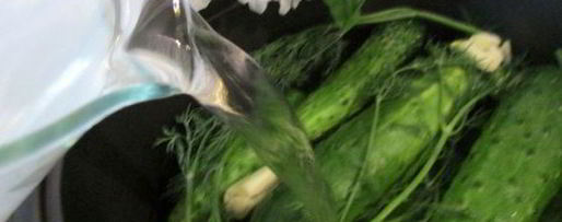 Шаг 4: малосольных огурчиков в минеральной воде