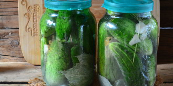 Рецепт малосольных огурцов хрустящих