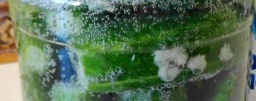 Шаг 2: малосольных огурцов на минеральной воде