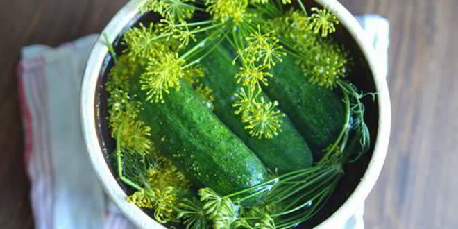 Рецепт малосольных огурцов с хреном