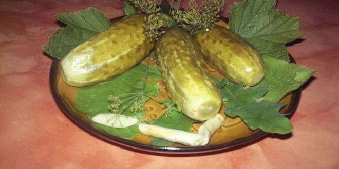 Рецепт малосольных огурцов с хреном