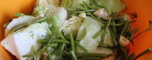 Шаг 2: малосольных огурцов с молодой капустой