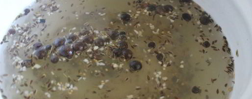 Шаг 4: малосольных огурцов с молодой капустой