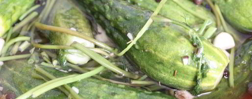 Шаг 7: малосольных огурцов с молодой капустой