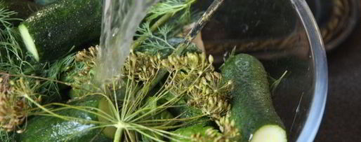 Шаг 1: малосольных огурцов в минеральной воде на зиму