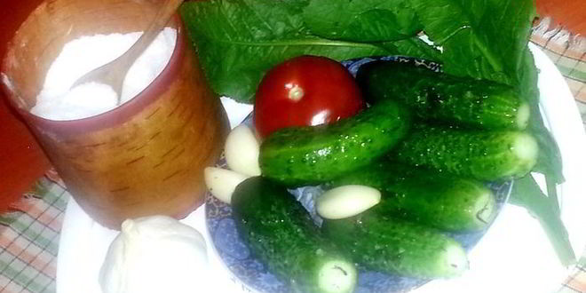 Рецепт малосольных огурцов всухую